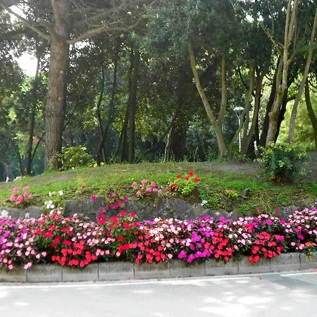 Apartment In Rosolina Mare 13